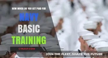 Earning Potential: Navy Basic Training Compensation Explained