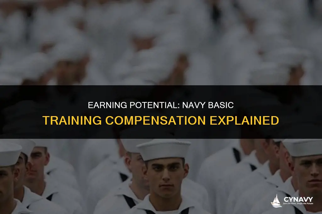 how much do you get paid for navy basic training