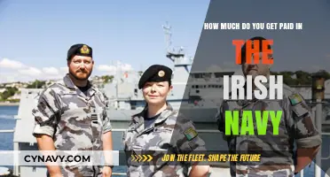 Exploring Salaries in the Irish Navy: A Comprehensive Guide