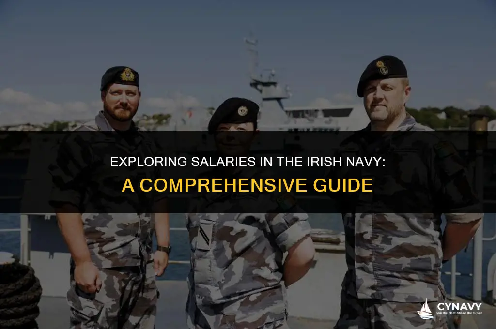 how much do you get paid in the irish navy