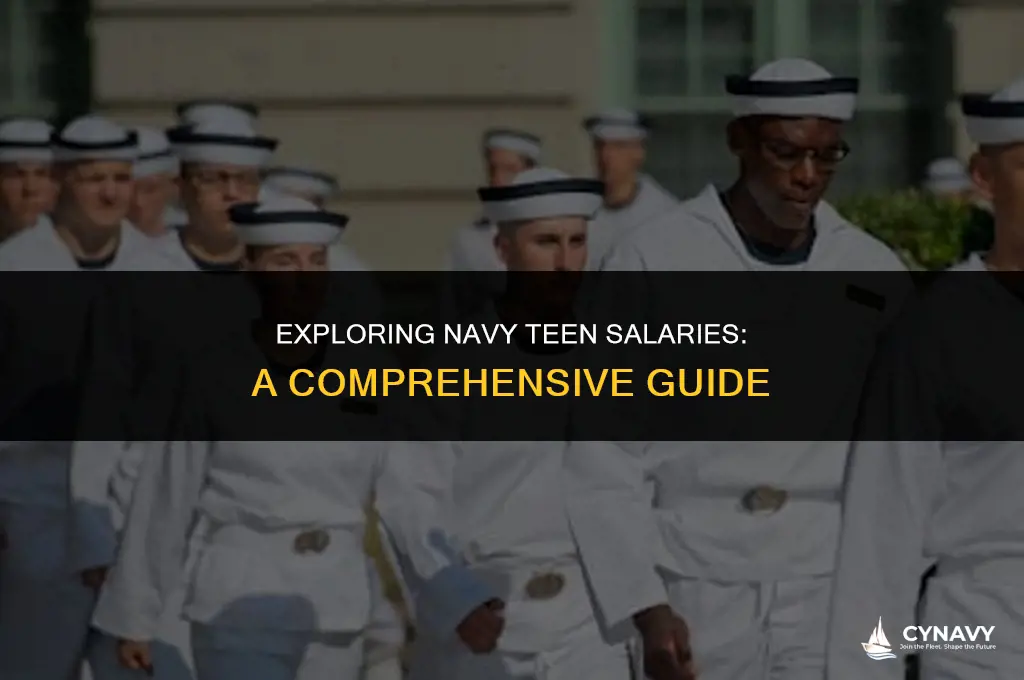 how much do you get paid in the navy teens