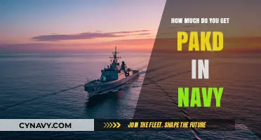 Decoding Navy Pay: Understanding Your Compensation Package