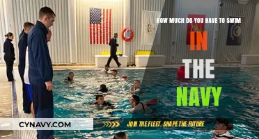 Diving Deep: The Navy's Swimming Requirements Explained