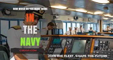 Salary Insights: A Comprehensive Guide to Navy Compensation