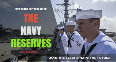 Unlocking Financial Potential: A Guide to Navy Reserve Compensation
