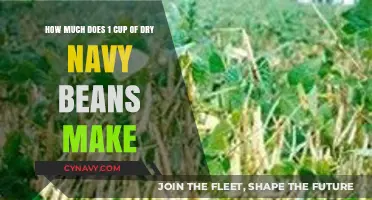 From Dry to Delicious: Navy Beans Yield Explained
