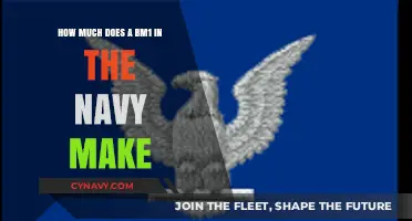 Decoding Navy Pay: What's the Salary for a BM1?