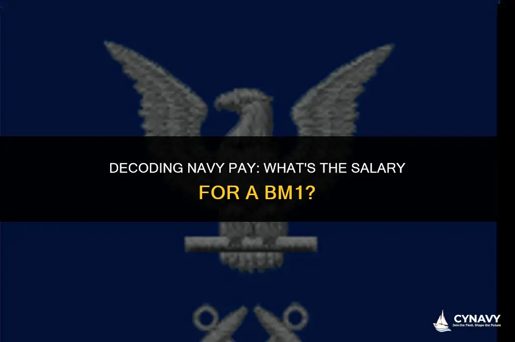 how much does a bm1 in the navy make