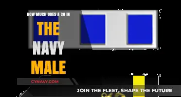 Salary Insights: Understanding Compensation for Navy Officers