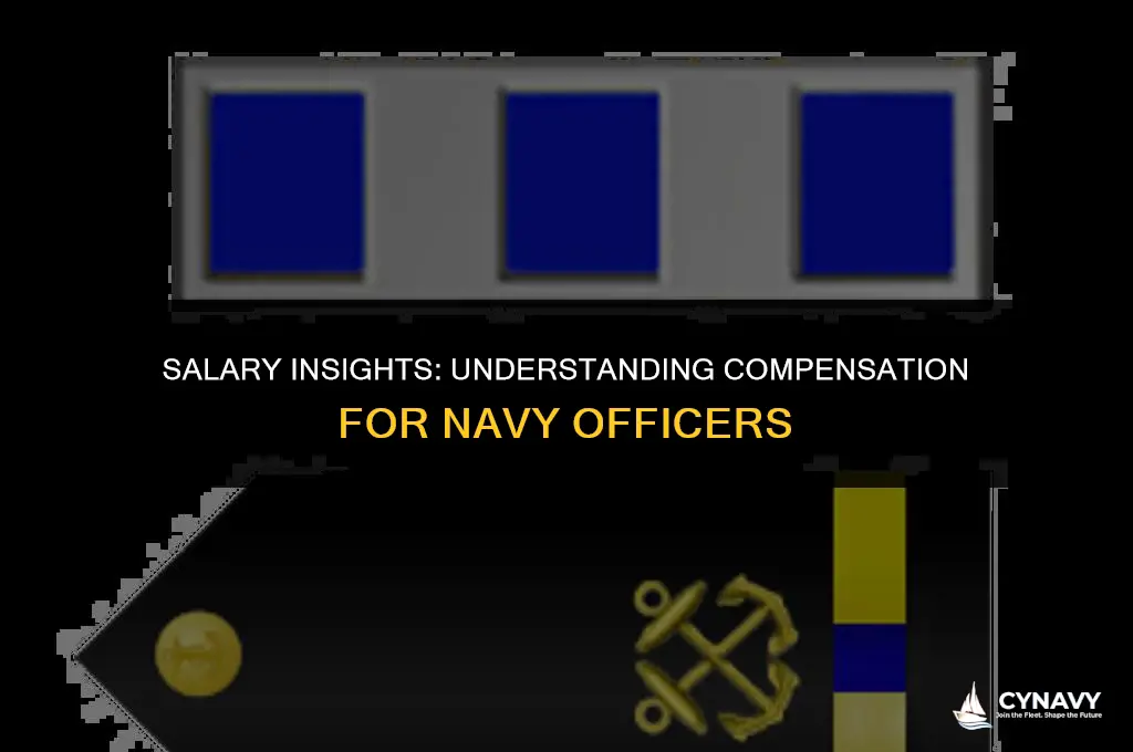 how much does a co in the navy male