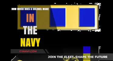 Decoding the Salary Structure: Colonels in the Navy