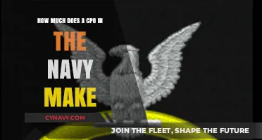 Salary Insights: Chief Petty Officer in the Navy