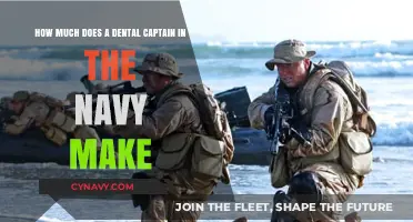 Salary Insights: Dental Captains in the Navy