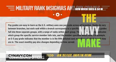 Decoding Navy Pay: What's the Salary for an E-4?