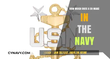 Decoding the Salary: What's the Pay for an E9 in the Navy?
