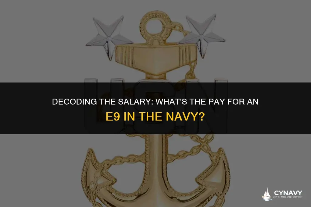 how much does a e9 make in the navy