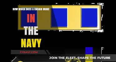 Decoding the Salary Structure for Navy Ensigns: A Comprehensive Guide