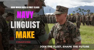 Decoding the Salary: A Deep Dive into Navy Linguist Earnings