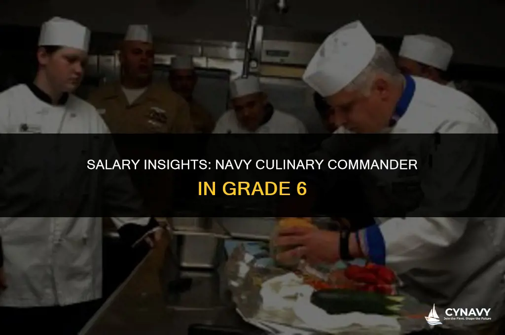 how much does a grade 6 navy culinary commander make