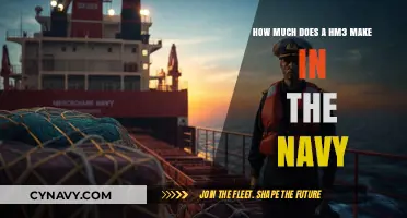 Decoding Navy Compensation: What's the Pay for an HM3?