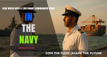 Salary Insights: Lieutenant Commander in the Navy