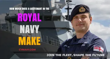 Salary Insights: Royal Navy Lieutenant's Annual Compensation Revealed