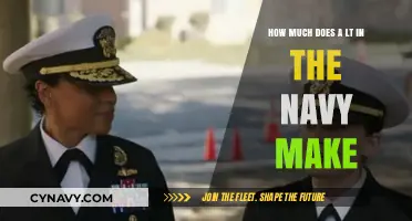 Salary Insights: Unveiling the Earnings of a Navy Lieutenant