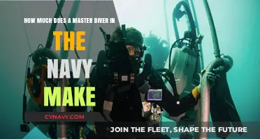 Unveiling the Salary Secrets of Navy Master Divers