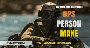 Unveiling the Salary Secrets of Navy Black Ops Personnel