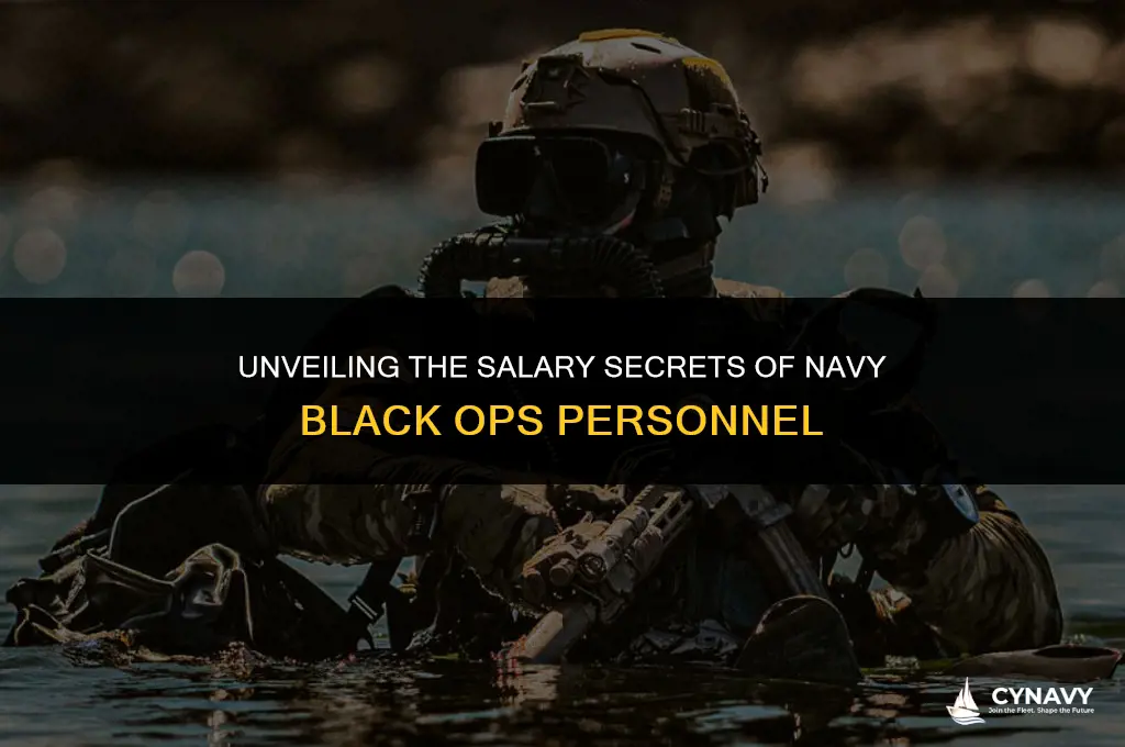 how much does a navy black ops person make