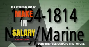 Decoding the Paycheck: A Navy CM1's Salary Unveiled