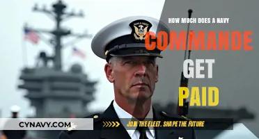 Decoding the Salary of a Navy Commander: A Comprehensive Guide