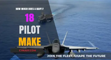 Salary Insights: Navy F-18 Pilots Earning Potential Explored