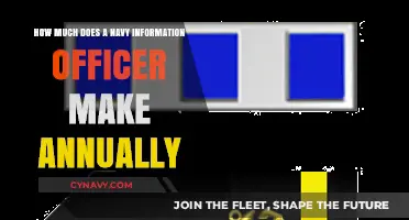 Decoding the Annual Salary of a Navy Information Officer