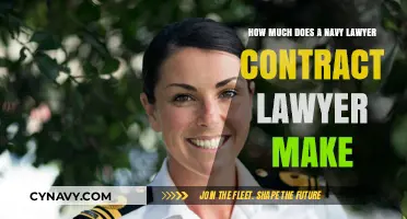 Salary Insights: Navy Lawyers vs. Contract Lawyers - A Comparative Guide