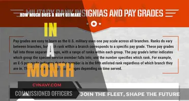 Monthly Salary Insights: Navy O-1 Officer Compensation Revealed