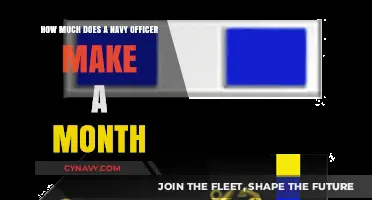 Salary Insights: Monthly Earnings of a Navy Officer Revealed