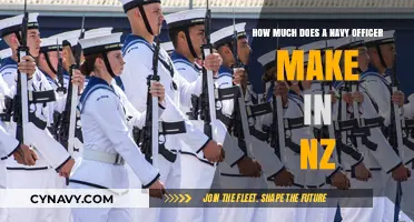 Salary Insights: Navy Officer Earnings in New Zealand