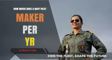 Annual Earnings of a Navy Pilot: A Comprehensive Guide
