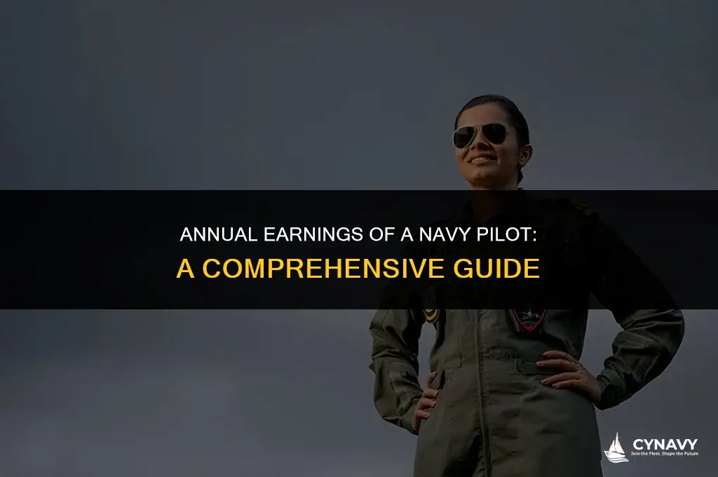 how much does a navy pilot maker per yr