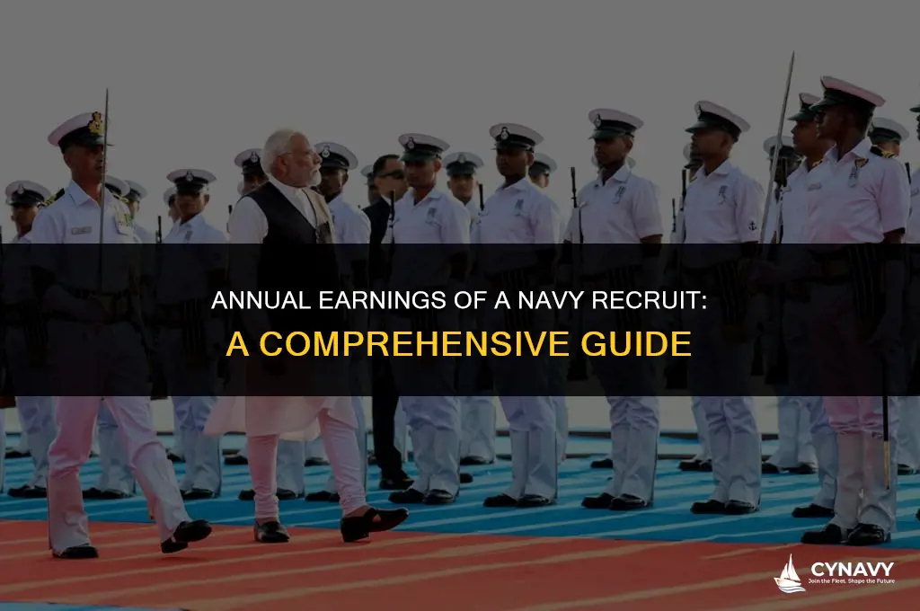 how much does a navy recruit make a year