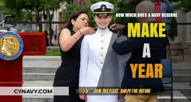 Annual Earnings of Navy Reservists: A Comprehensive Guide