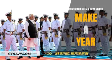 Annual Earnings of Navy Sailors: A Comprehensive Guide