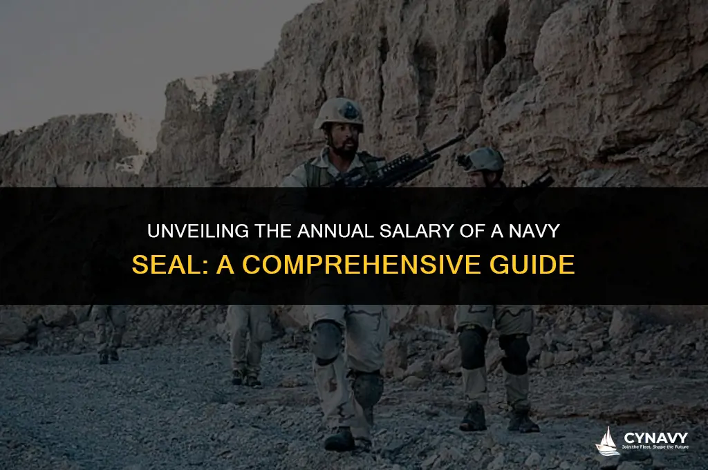 how much does a navy seal get paid a year