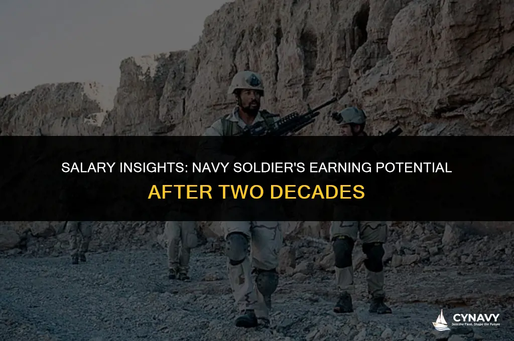 how much does a navy soldier make after 20 years