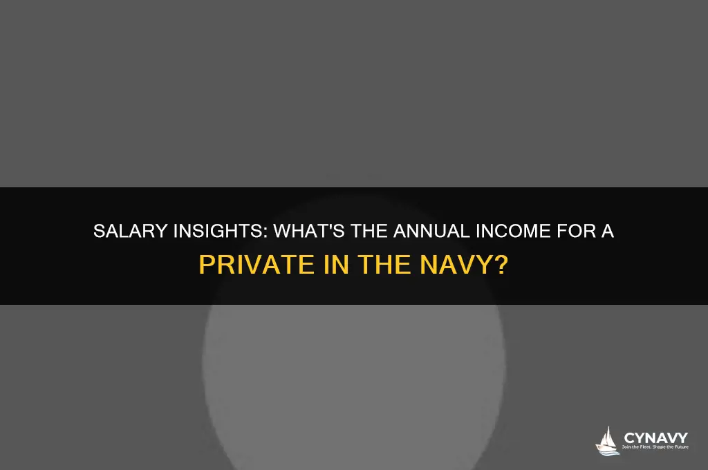 how much does a private make in the navy
