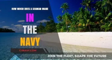 Exploring Seaman Salaries: A Deep Dive into Navy Compensation