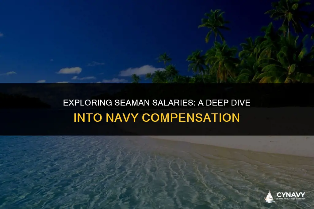 how much does a seaman make in the navy