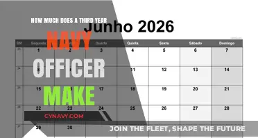 Salary Insights: Third-Year Navy Officer Compensation Revealed