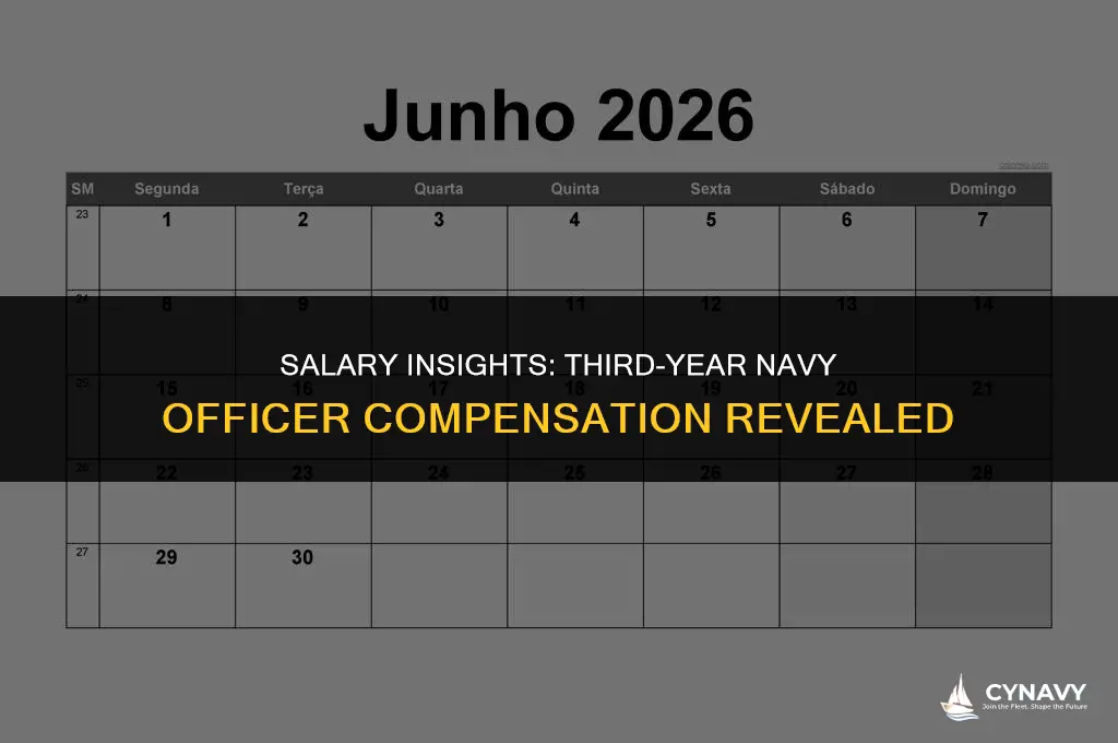 how much does a third year navy officer make